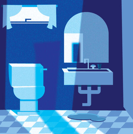 blue house - bathroom