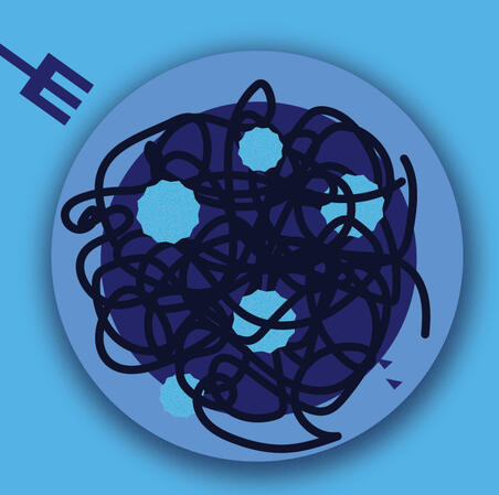 blue house - spaghetti